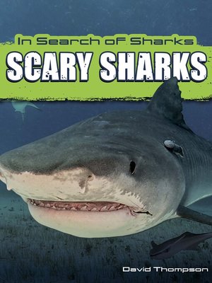 cover image of Scary Sharks